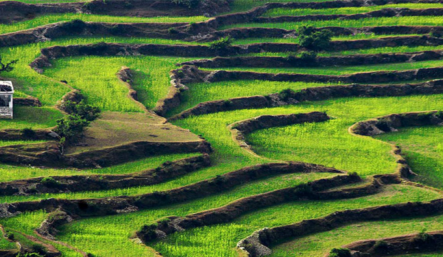 ranikhet-uttranchal-india