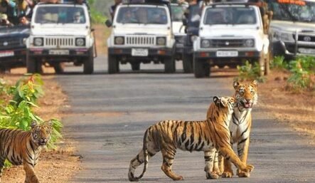 corbett-park